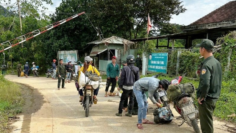 Thứ cây rừng kỳ lạ ở Đà Nẵng (mới), quả mang hạt ngon bay khắp nơi, dân đi nhặt bán 700.000 đồng/kg
