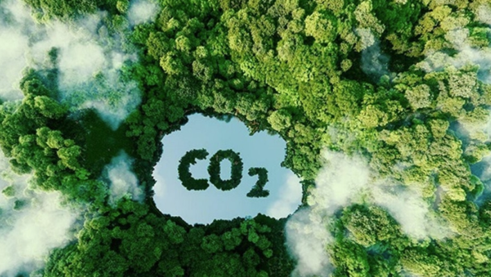 Thị trường tín chỉ carbon: Giá thế giới cao nhất gần 100 USD
