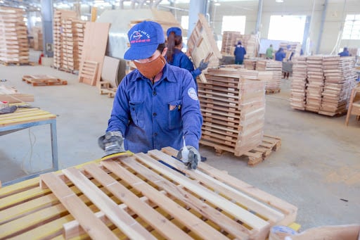 Phú Tài lãi đậm trong quý II, dự phòng 84% khoản nợ khi Noble House phá sản