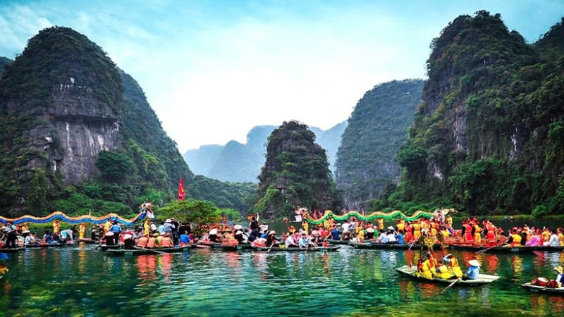 Đến một nơi sông nước ở tỉnh Ninh Bình, có người chỉ thích coi loài cây này