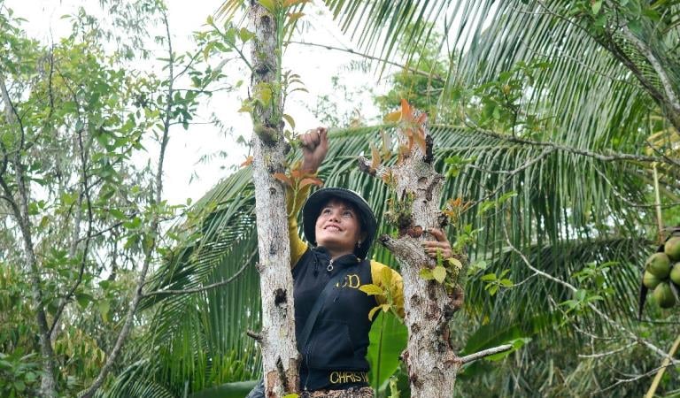 Vùng núi nào cao 710m so với mực nước biển ở tỉnh An Giang la liệt rau rừng ngon, 10 người nếm cả làng khen?