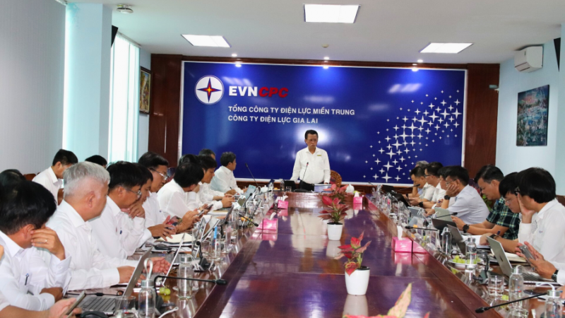 Tổng Giám đốc EVNCPC làm việc với Công ty Điện lực Gia Lai sau sáp nhập