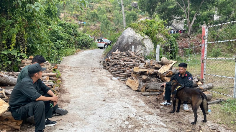 Thanh niên mất tích khi leo núi Hoàng Ngưu Sơn, huy động chó nghiệp vụ tìm kiếm