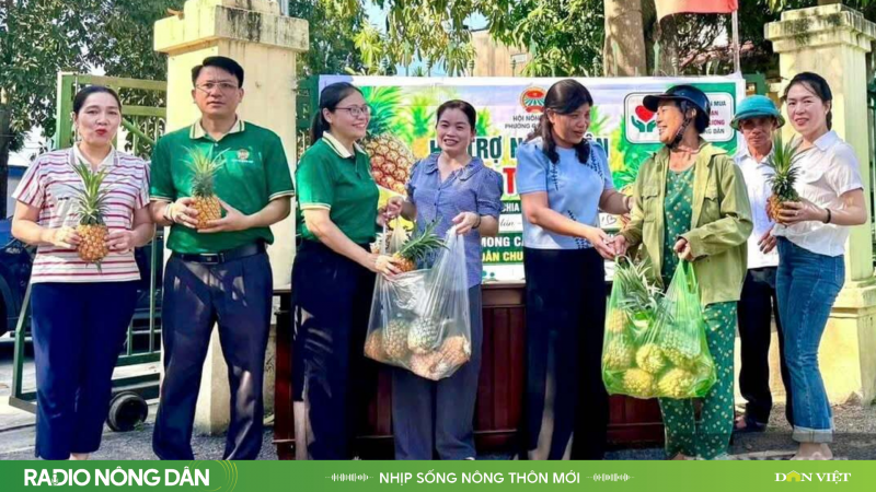 Nhịp sống nông thôn mới ngày 01/6/2026