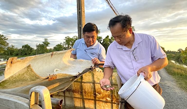 Nuôi cá nheo Mỹ thành công ở Hà Tĩnh, giống cá “nhập ngoại” này cứ có là bán hết veo