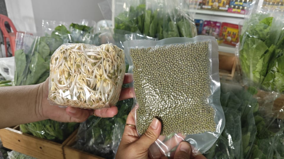 Lo giá đỗ ngâm hóa chất, người tiêu dùng 'săn' giá ốm, rễ dài ở chợ xanh