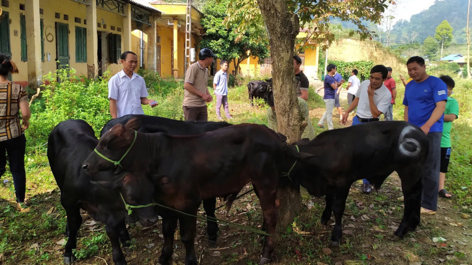 Cơ hội để nông dân vùng cao tăng thu nhập, nâng cao đời sống