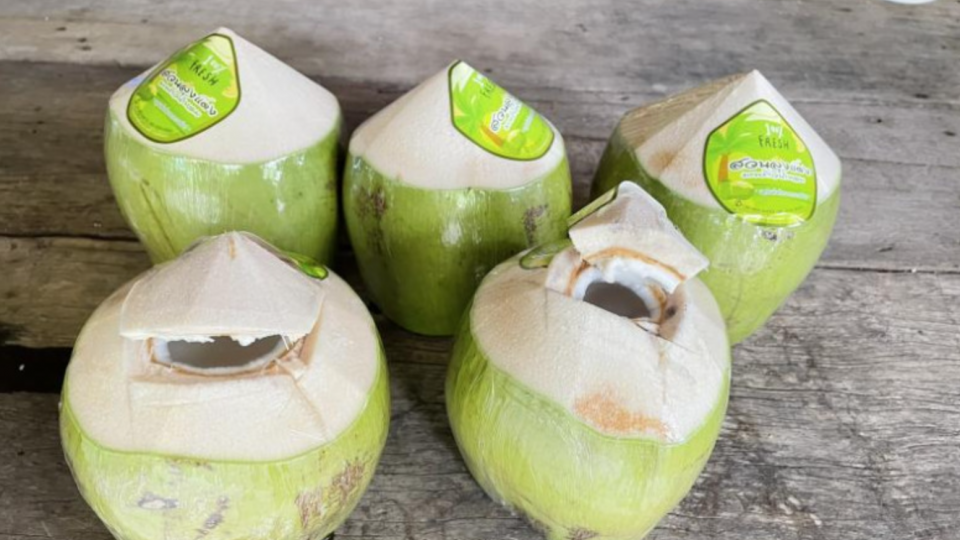 Nguồn cung từ Việt Nam và các quốc gia xuất khẩu giảm, giá dừa tăng vọt trên thị trường thế giới
