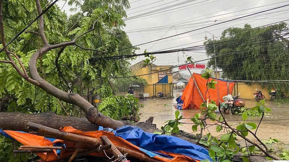 Tuyên Quang: Tập trung khắc phục hậu quả thiên tai 