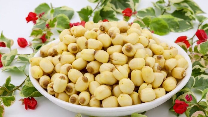 Cách chữa đau đầu bằng hạt sen: Giải pháp tự nhiên an toàn, hiệu quả từ y học cổ truyền