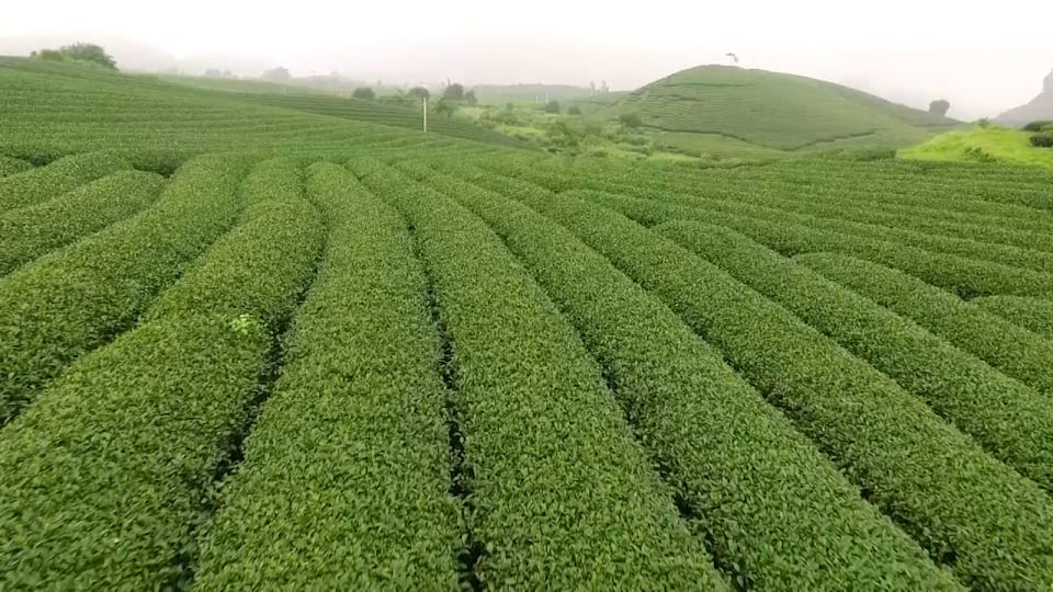 Tận dụng lợi thế, phát triển du lịch, thúc đẩy kinh tế vùng đồng bào dân tộc thiểu số