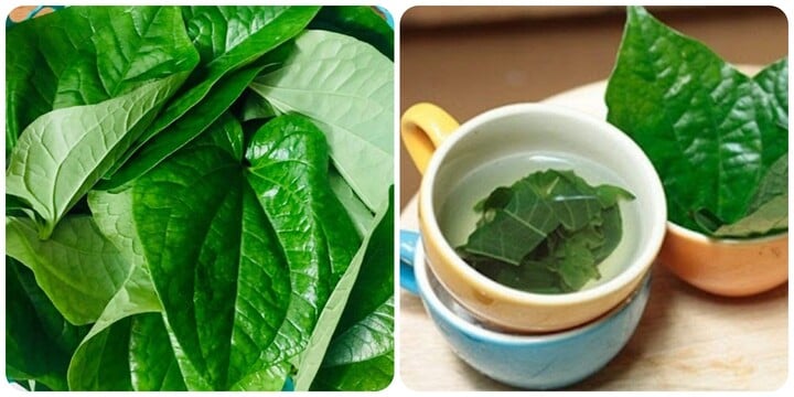 Loại rau gia vị quen thuộc lại vừa là vị thuốc dân gian của người Việt, bán rẻ đầy chợ