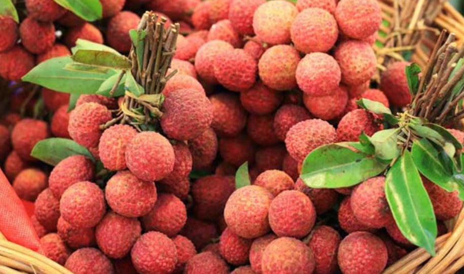 Mùng 1 tháng 6 Âm lịch nên thắp hương hoa quả gì để lộc lá?