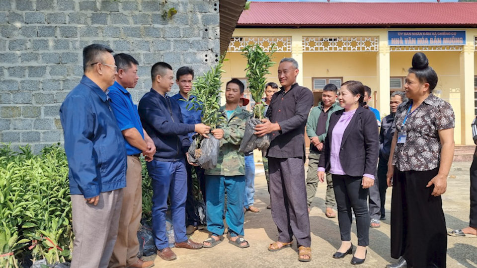 Giúp đồng bào dân tộc thiểu số vươn lên trên chính mảnh đất quê hương