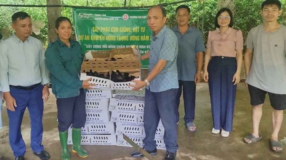 Nông dân Lào Cai được hỗ trợ nuôi gà theo hướng VietGAHP, mở hướng làm giàu