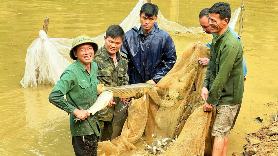 Sáp nhập Lào Cai, Yên Bái: Người nuôi cá ở Lào Cai  'đón sóng' nâng cao chất lượng, nuôi cá đặc sản