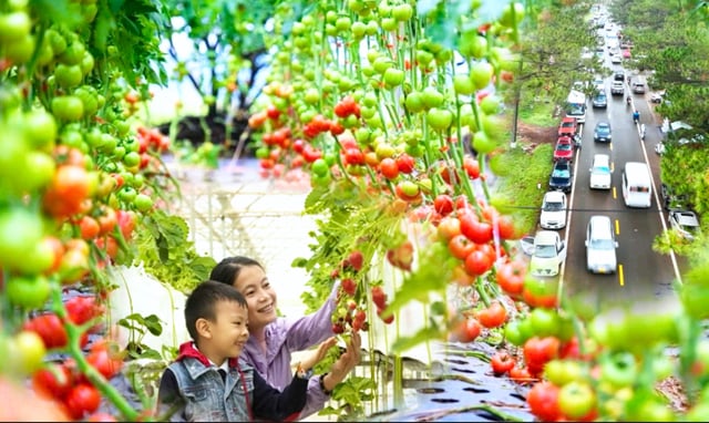 “Thủ phủ” du lịch của Kon Tum làm cách này để tăng sức hút và sự hấp dẫn du khách