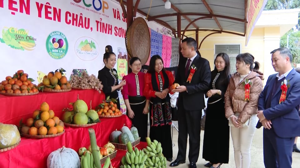 Đồng thuận ý Đảng, lòng dân – Thúc đẩy kinh tế vùng đồng bào dân tộc thiểu số