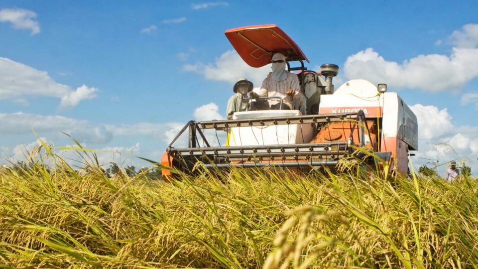 Hộ kinh doanh nông nghiệp có thể vay tối đa 500 triệu đồng không cần tài sản đảm bảo, hợp tác xã có thể vay tới 5 tỷ đồng
