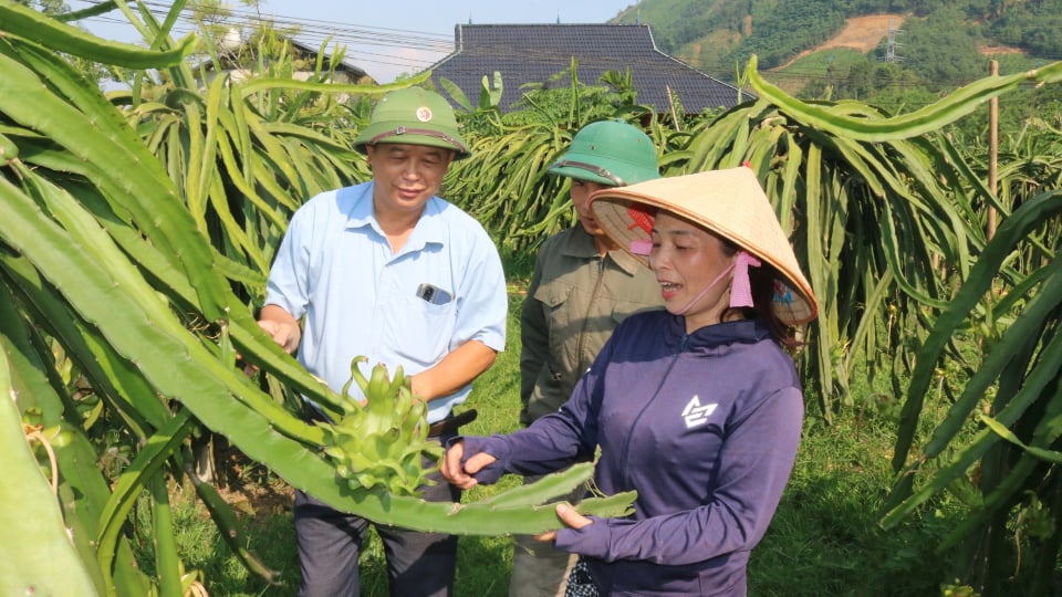 Người gieo 'quả ngọt' trên đất Đồng Yên ở Hà Giang
