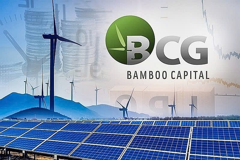 Bamboo Capital lý giải việc chưa tổ chức Đại hội đồng cổ đông thường niên 2025