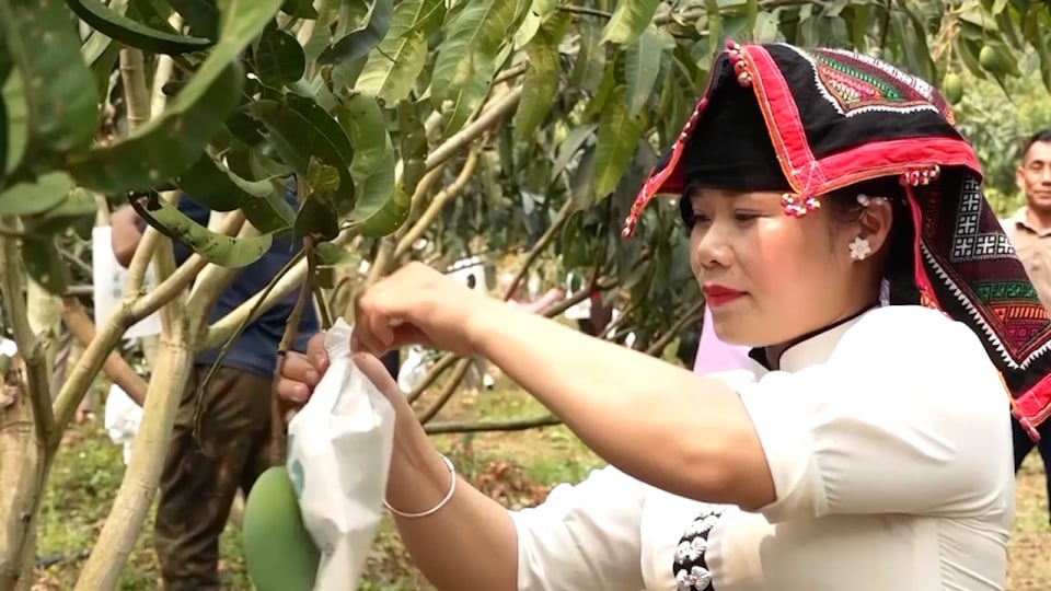 Nông thôn Tây Bắc: Màu xanh no ấm của đồng bào các dân tộc tỉnh Sơn La