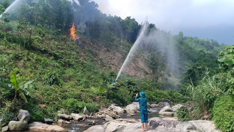 Thái Nguyên: Giữ vững rừng, phát triển lâm nghiệp bền vững sau sáp nhập
