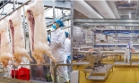 Bước ngoặt lợi nhuận của Masan MEATLife trong năm 2024