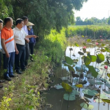 Nhiều tổ hội nông dân nghề nghiệp tại thành phố Huế có doanh thu tiền tỷ 