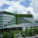 Vingroup hợp tác với Cleveland Clinic xây dựng bệnh viện Vinmec cần giờ theo chuẩn quốc tế