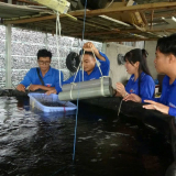 Giảm nghèo ở An Giang qua một mô hình nuôi con đặc sản kết hợp trồng rau màu của một phụ nữ Khmer