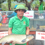 Nông dân Quảng Bình hò nhau xuống sông Son bắt loài cá trắm mang đi dự thi 'hoa hậu'