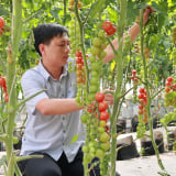Hợp nhất Đắk Nông, Lâm Đồng, Bình Thuận, 'siêu tỉnh' sau sáp nhập là 'thủ phủ' nông nghiệp công nghệ cao