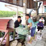 Ngay bây giờ, Ninh Bình nuôi cả tôm càng xanh, chạch sụn, trai lấy ngọc...đa dạng hóa 'giỏ' con đặc sản
