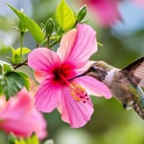 Đầu tháng 5, 4 con giáp ổn định như bàn thạch, thu nhập tăng, phúc lành ngày càng nhiều