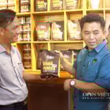Giá cao nhất trong 70 năm qua, loại cây tưởng sắp bị xóa sổ ở Việt Nam đang đứng top 10 thế giới