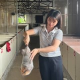 Một nông dân Hà Nội nuôi la liệt con đặc sản, động vật hoang dã nuôi được luôn, tự trả lương cao