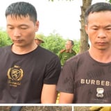 Chân dung 2 người Trung Quốc đào trộm mộ Vua Lê Túc Tông