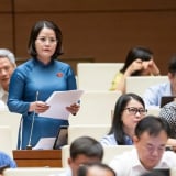 Đại biểu Quốc hội đề xuất cán bộ, công chức vào diện được tham gia bảo hiểm thất nghiệp