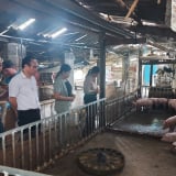 Cao Bằng: 'Bí quyết' xây dựng, phát triển, sử dụng Quỹ Hỗ trợ nông dân