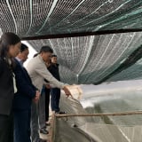 3 tỷ phú Nam Định ở một huyện, là Nông dân Việt Nam xuất sắc, hộ nuôi yến, nuôi ốc hương, hộ trồng nấm