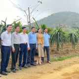 Hội Nông dân Việt Nam: Phát huy hiệu quả mô hình câu lạc bộ nông dân, tạo 'điểm tựa' giảm nghèo