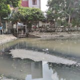 “Ngạt thở” vì hồ Nguyễn Chính ô nhiễm giữa lòng Thủ đô