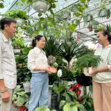 Nguồn lực quan trọng của Hội Nông dân đang góp phần phát triển nông nghiệp đô thị ở Đà Nẵng