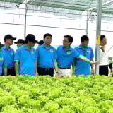 HTX trồng rau thủy canh có tiếng ở TP HCM “thoát nguy” nhờ Quỹ Hỗ trợ nông dân 'tiếp sức'