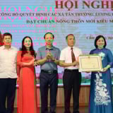  Trước khi sáp nhập với Hải Phòng và lên thành phố, huyện nào đang có nhiều xã nông thôn mới kiểu mẫu nhất tỉnh Hải Dương?