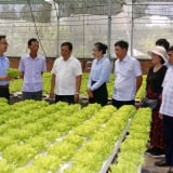Kiện toàn tổ chức và hoạt động của Quỹ Hỗ trợ nông dân Trung ương: 2.000 tỷ đồng hỗ trợ xây dựng mô hình, tạo nguồn lực đoàn kết, tập hợp nông dân vào tổ chức Hội
