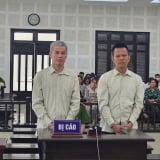 Lừa gần 40 tỷ đồng của hàng trăm nhà đầu tư, Tổng giám đốc Công ty Vựa miền Trung lãnh án 