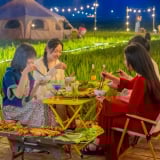 Đang lạ ở Quảng Bình, ban đêm đồng lúa sáng trưng, người thiên hạ ra ngồi 'hóng mát, nhâm nhi cà phê sành điệu'