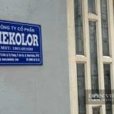 Mekolor muốn làm đường sắt tốc độ cao Bắc - Nam: Lộ diện 3 cổ đông sáng lập, có người góp 30 triệu đồng